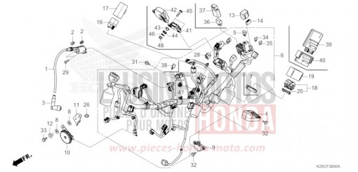 FAISCEAU DES FILS MSX125AR de 2024